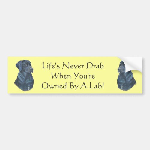 black labrador dog portrait original fun slogan bumper sticker