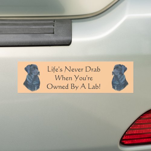 black labrador dog portrait original fun slogan bumper sticker