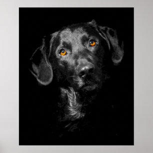 Black Labrador Dog Poster Canvas Print Inspiration