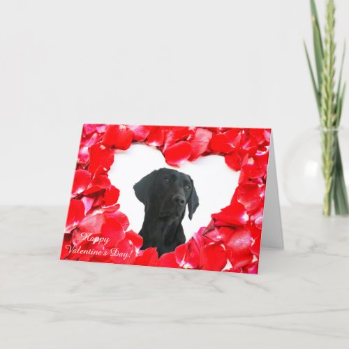 Black Labrador Dog Roses Heart Photo Throw card