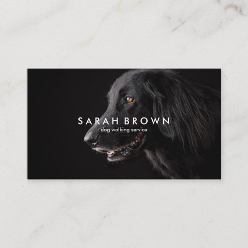 Black Labrador Dog Walker sitter groomer Business Card