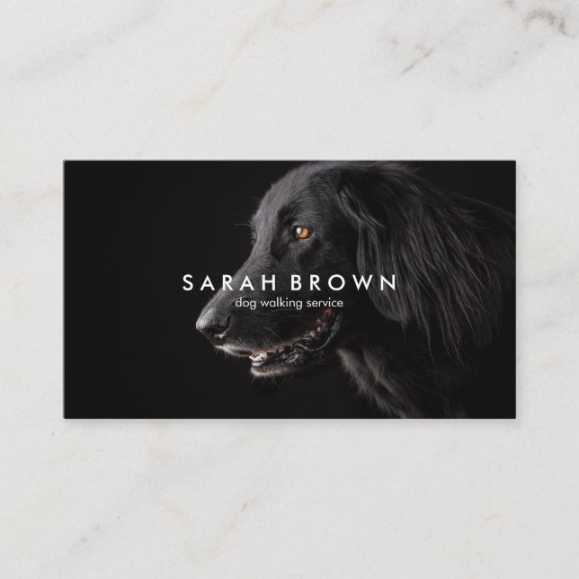 Black Labrador Dog Walker sitter groomer Business Card (Front)