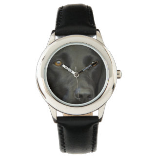 Black Labrador Dog Watch