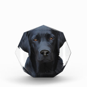 Black Labrador Dog Water Color Art Painting Acrylic Award