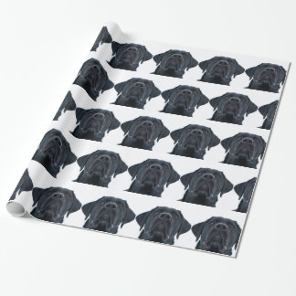 Black Labrador Facing Wrapping Paper