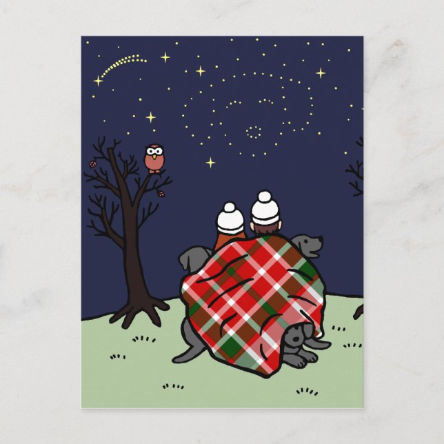 Black Labrador Family and Starry Sky Postcard (Front)