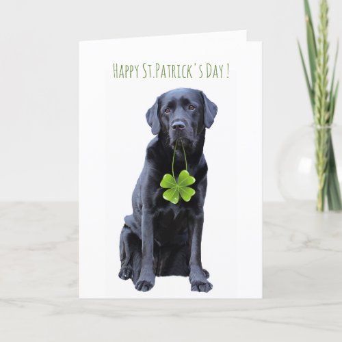 Black Labrador Four Leaf Clover StPatricks Day Holiday Card