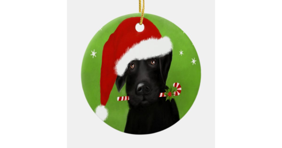 Dog Artwork Canvas