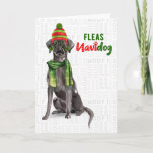 Black Labrador Funny Fleas Navidog Christmas Holid Holiday Card