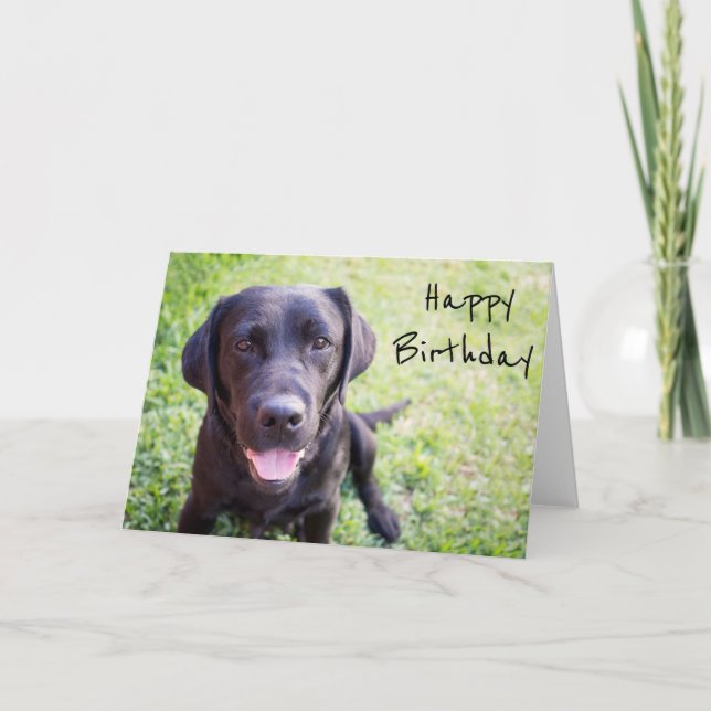 Black Labrador Happy Birthday Card (Front)