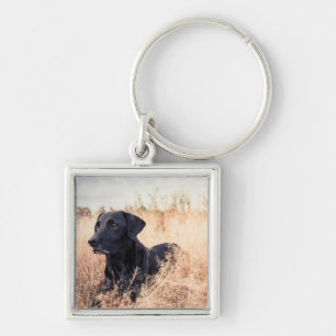 Black Labrador In Dry Grass Keychain
