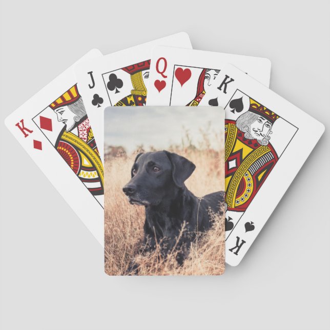 Black Labrador In Dry Grass Poker Cards (Back)