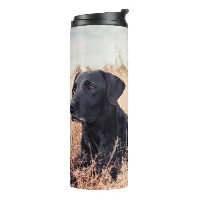 Black Labrador In Dry Grass Thermal Tumbler (Rotated Left)