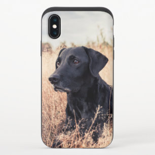 Black Labrador In Dry Grass iPhone X Slider Case