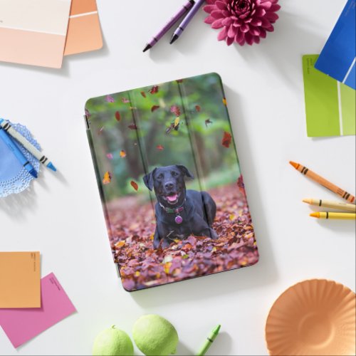 Black Labrador In Fall Leaves iPad Pro Cover