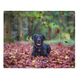 Black Labrador In Fall Leaves Jigsaw Puzzle