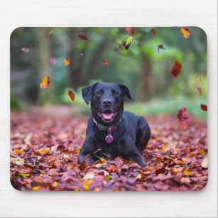 Black Labrador In Fall Leaves Mouse Pad