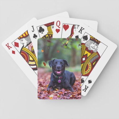 Black Labrador In Fall Leaves Poker Cards