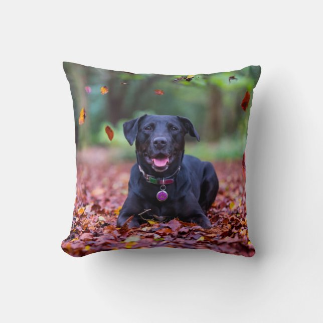 Black Labrador In Fall Leaves Throw Pillow (Front)