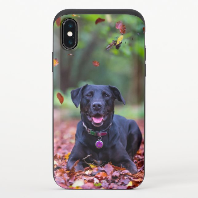 Black Labrador In Fall Leaves Uncommon iPhone Case (Back)