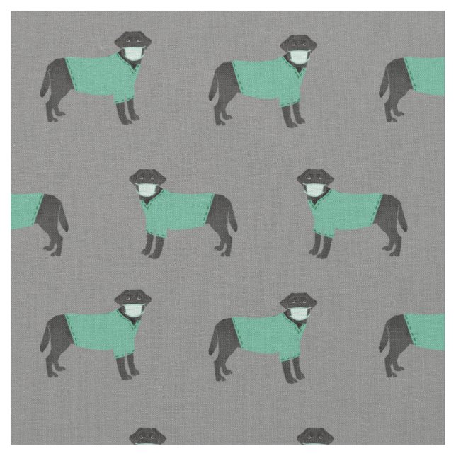 Black Labrador in scrubs grey Fabric (Close Up)