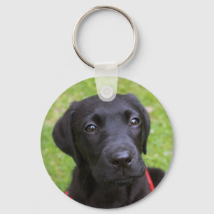 Black Labrador Key Ring