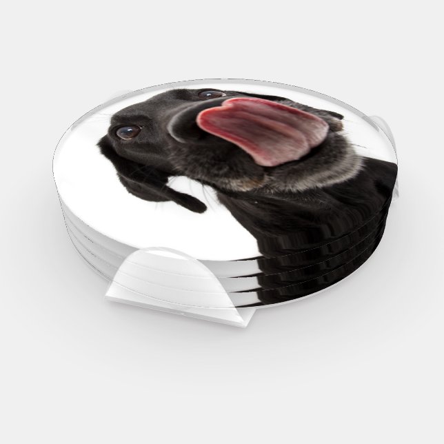 Black Labrador Licking Its Nose Coaster Set (Set)