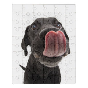 Black Labrador Licking Its Nose Jigsaw Puzzle