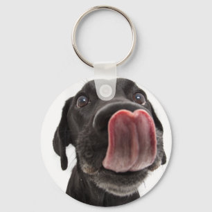 Black Labrador Licking Its Nose Keychain