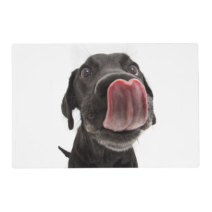 Black Labrador Licking Its Nose Placemat