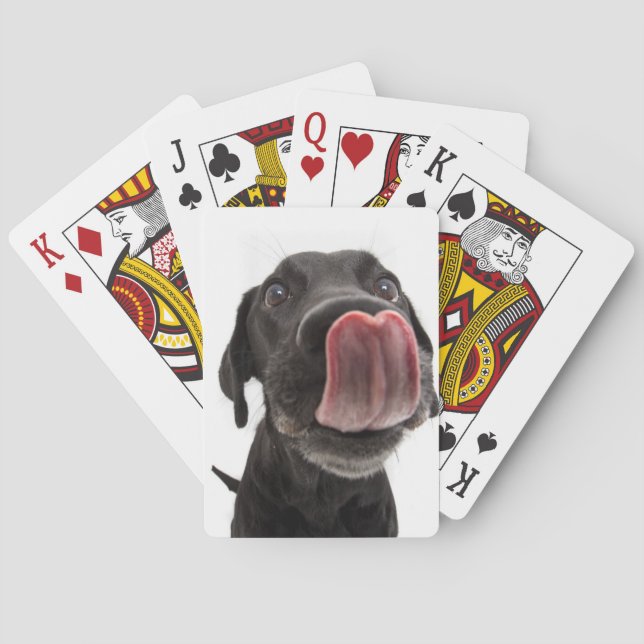 Black Labrador Licking Its Nose Poker Cards (Back)
