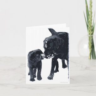Black Labrador Love - Christmas Card
