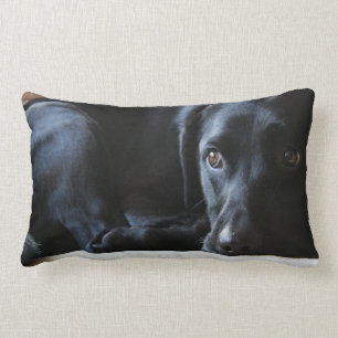 Black Labrador Lumbar Pillow
