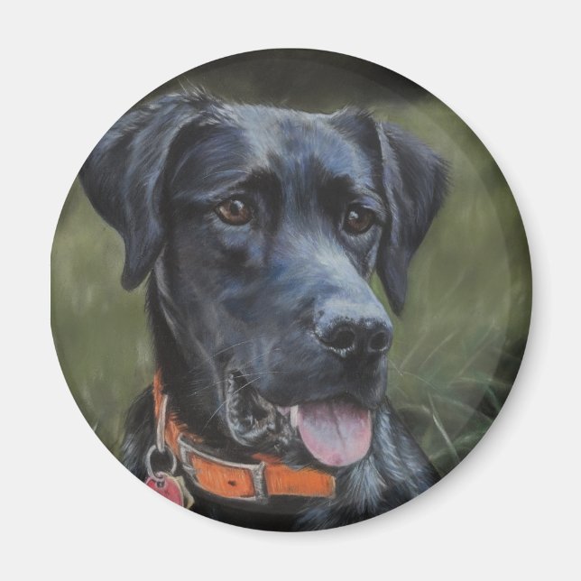 Black Labrador magnet (Front)