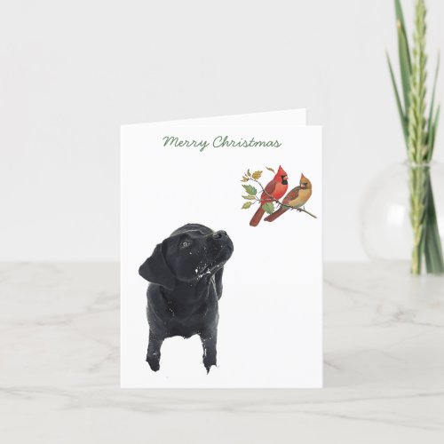 Black Labrador Merry Christmas Cardinals Cute Dog Holiday Card