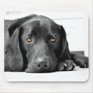 Black Labrador Mouse Pad