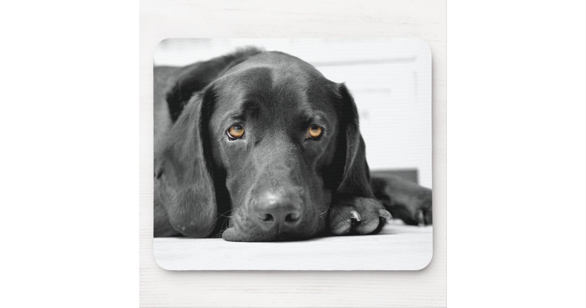 Tappetino per mouse - Labrador