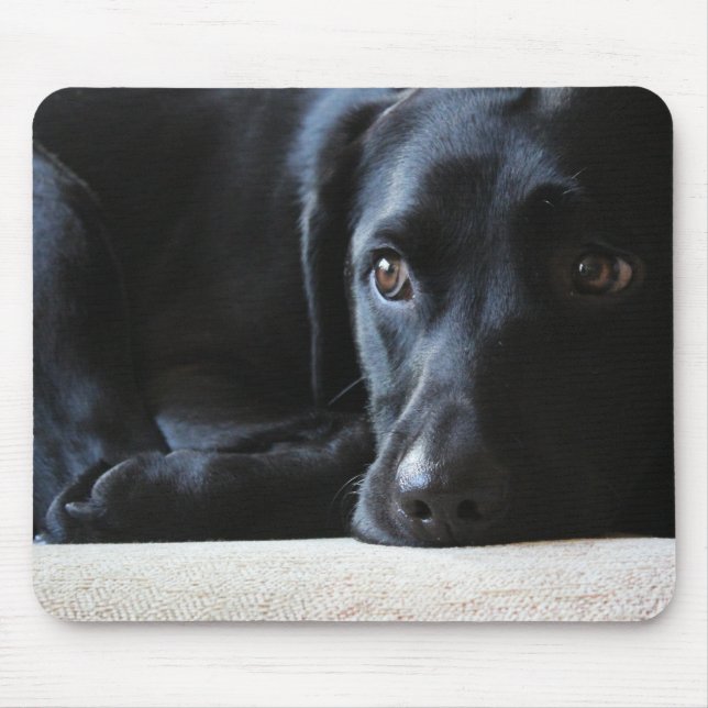 Black Labrador Mouse Pad (Front)