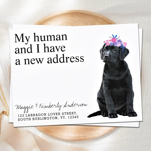 Black Labrador New Address Dog Moving Announcement Postcard