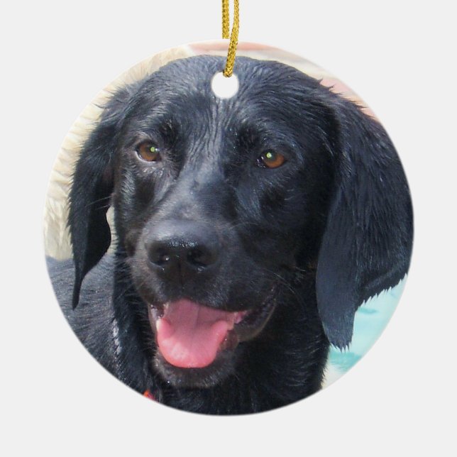 Black Labrador ornament (Front)