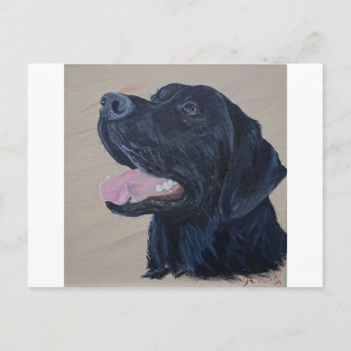 Black Labrador Painting Postcard