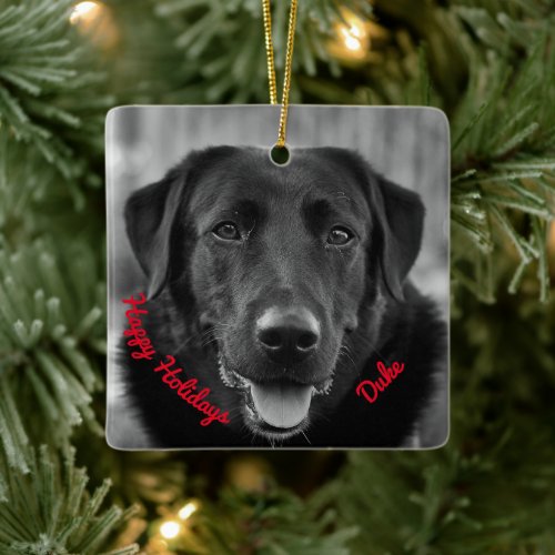 Black Labrador Photo Pet Dog Ceramic Ornament