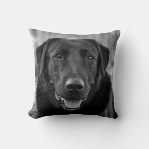 Black Labrador Photo Pet Dog  Throw Pillow