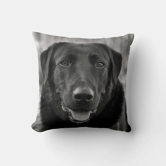 Black Labrador Photo Pet Dog  Throw Pillow (Front)