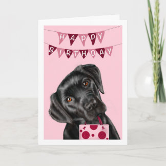 Black Labrador Pink Birthday Greeting Card