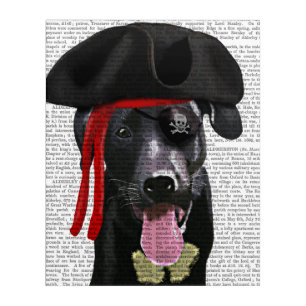 Black Labrador Pirate Acrylic Print