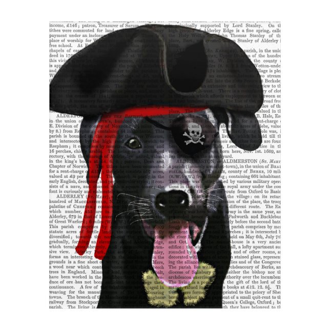 Black Labrador Pirate Acrylic Print (Front)