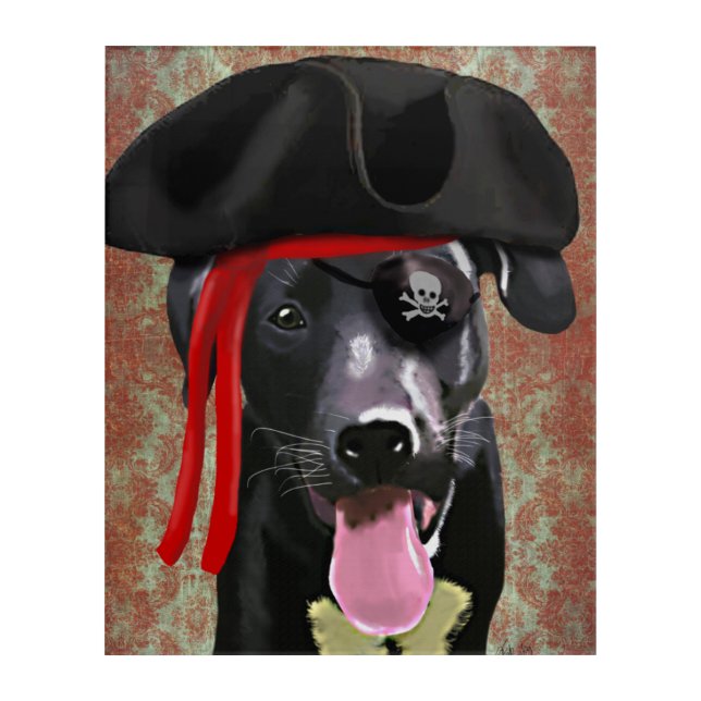 Black Labrador Pirate Dog Acrylic Print (Front)