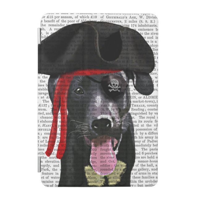 Black Labrador Pirate iPad Mini Cover (Front)