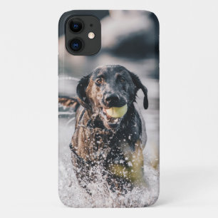 Black Labrador Plays Fetch In Water iPhone 11 Case